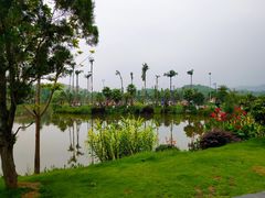 -枫香湖儿童公园