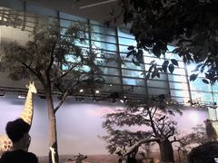 -上海科技馆(地铁站)