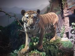 -陕西自然博物馆