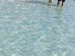 -碧海金沙
