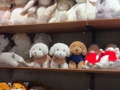 -番茄口袋(上海普陀区环球港店)