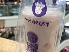 -一只酸奶牛(汕头金平万达广场店)