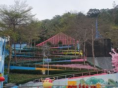 -东部华侨城