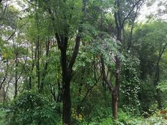-月色西餐厅·海鲜刺身·烧烤(科学城保利郡雅酒店)