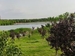 -丁香湖公园