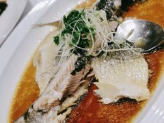 -广东道至正餐厅(区庄店)