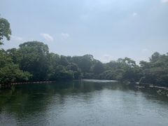 -花溪公园