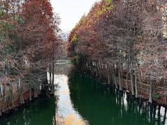 -厦门园林博览苑