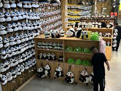 -青藏高原野生动物园
