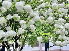 -桐乡植物园