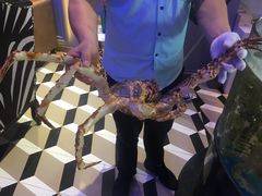 -蟹之国·精品蟹料理(极地店)