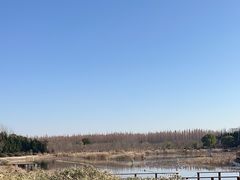 -东平国家森林公园