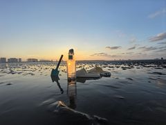 -碧海金沙