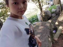 -将太无二·北美传奇寿司(瑞士公寓店)