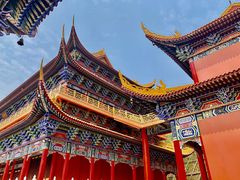 -东莞市大岭山森林公园