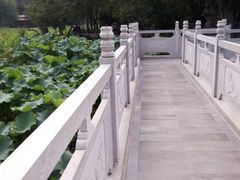 -莲湖公园