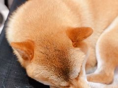 -About Bistro關於·泰式家庭料理