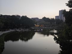 -金砂公园