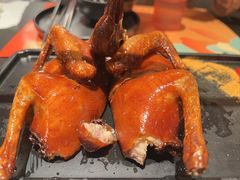 -羽鸽集·乳鸽专门店·地道顺德菜(岭南站店)