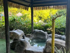 -河源客天下-温泉小镇