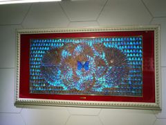 -上海昆虫博物馆