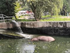 -西安秦岭野生动物园