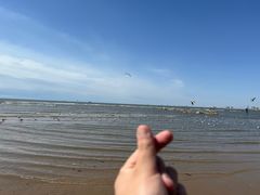 -老虎石海上公园