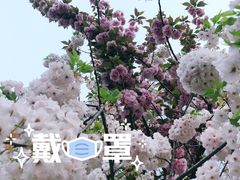 -唐城墙遗址公园
