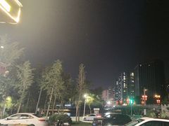 -廉恭蜀老成都火锅(善国大桥店)