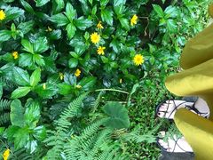 -优游吧斯邹族文化部落