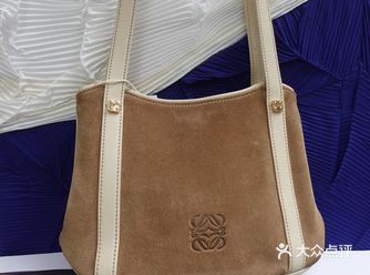 Loewe麂皮拼色腋下包 LV挚爱favorite小