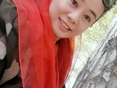 -金塔沙漠胡杨林景区
