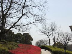-上海月湖雕塑公园