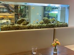 -酷以爬仙阁实体爬宠店·守宫·蜥蜴·专业繁育