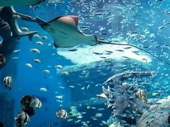 -波塞冬旅游度假区