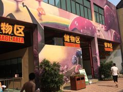 -苏州乐园森林水世界