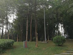 -广州市第二中学高中部(科学城校区)