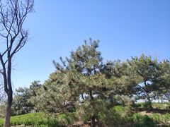-东郊湿地公园
