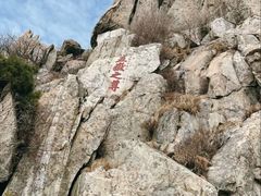 -泰山风景名胜区