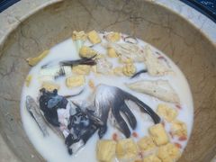 -云海肴云南菜·蒸汽石锅鱼(青岛万象城店)