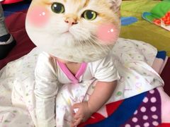 -金宝贝早教中心(北洋校区)