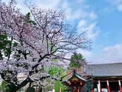 -东京浅草和服体验江户和装工房雅(浅草本店)
