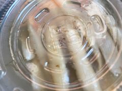 -安海长火土笋冻