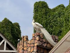 -J Create城市露营咖啡·简餐·宠物(上海动物园店)