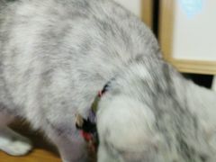 -研途咖啡馆(健康路店)