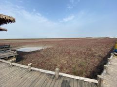 -红海滩国家风景廊道