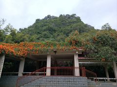 -南宁花花大世界景区