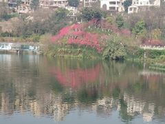 -重庆彩云湖湿地公园