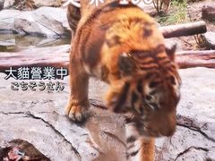 -红山森林动物园