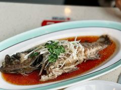 -巧克力渔家.小船海鲜胶东菜(万平口店)